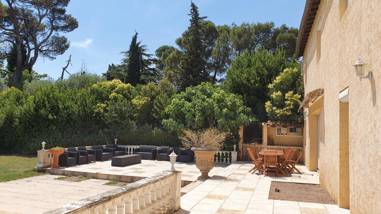 Domaine D'Herminis - Gite De Dame Carcas Carcassonne Esterno foto