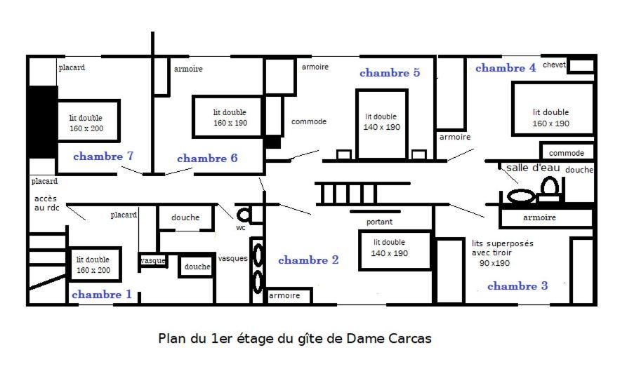 Domaine D'Herminis - Gite De Dame Carcas Carcassonne Esterno foto